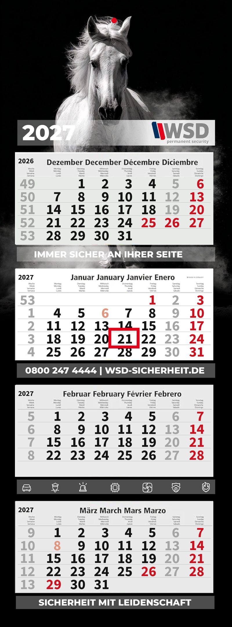 Motiv 4: Schimmel im Staub