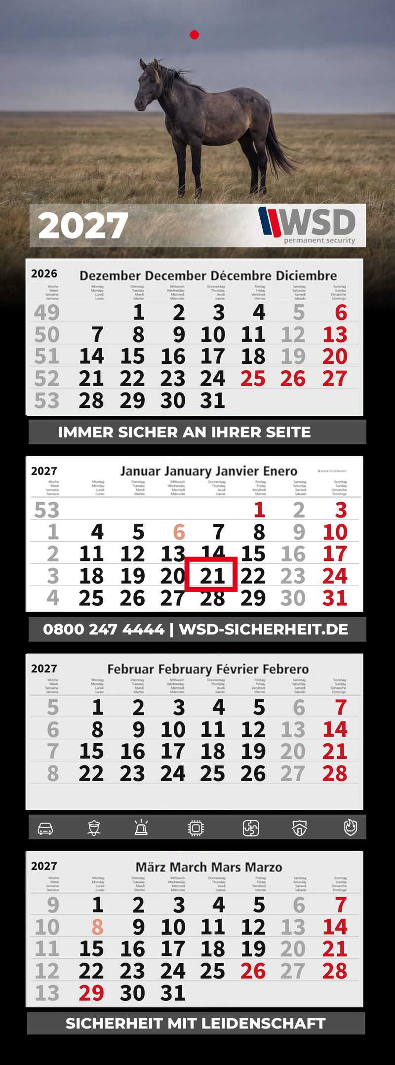 Motiv 5: Pferd in der Steppe