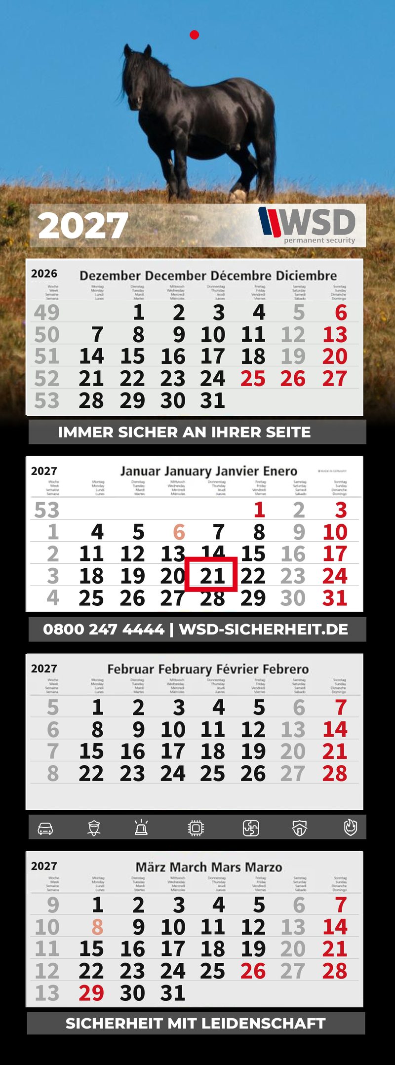 Motiv 6: Rappe vor blauem Himmel