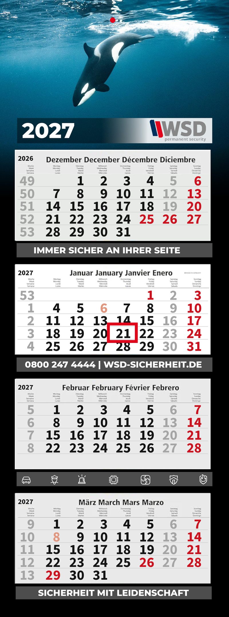 Motiv 10: Orca beim Tauchgang