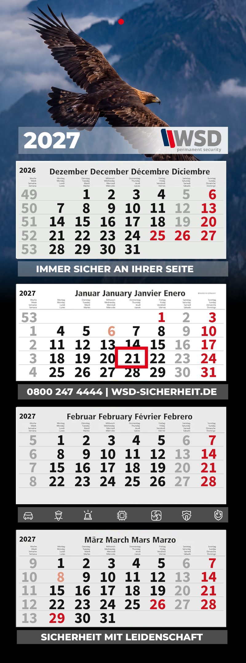Motiv 12: Steinadler