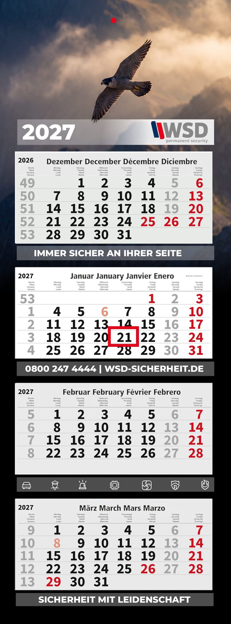 Motiv 13: Wanderfalke im Flug