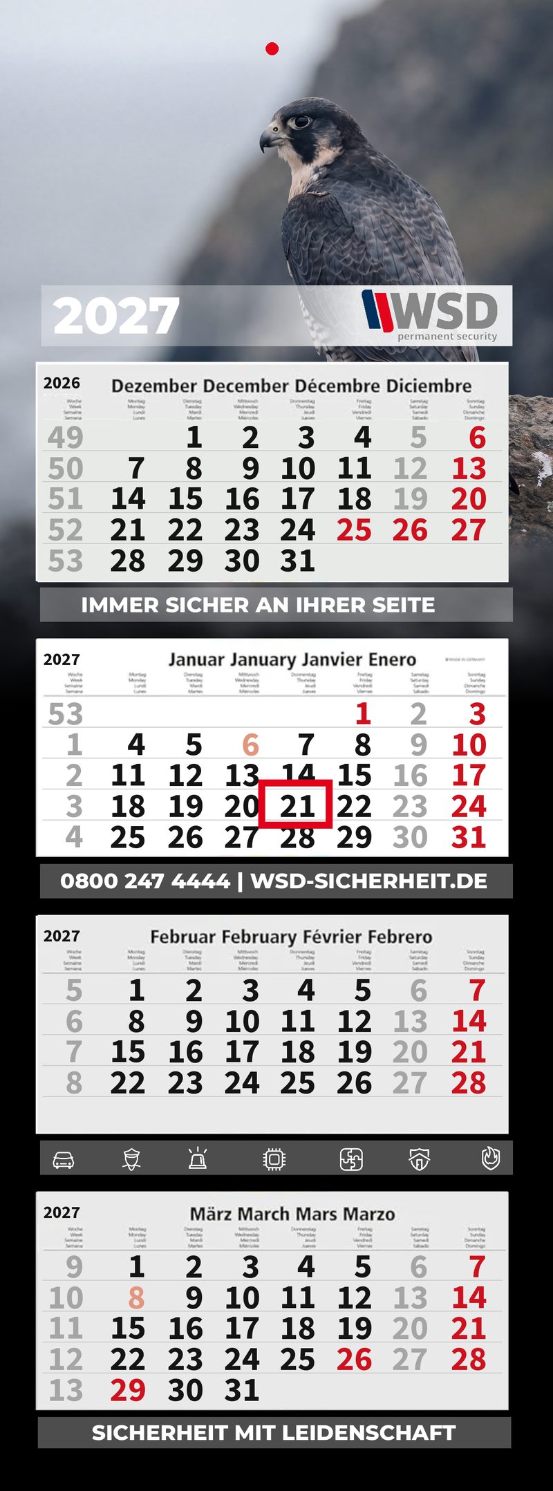 Motiv 14: Wanderfalke auf dem Fels