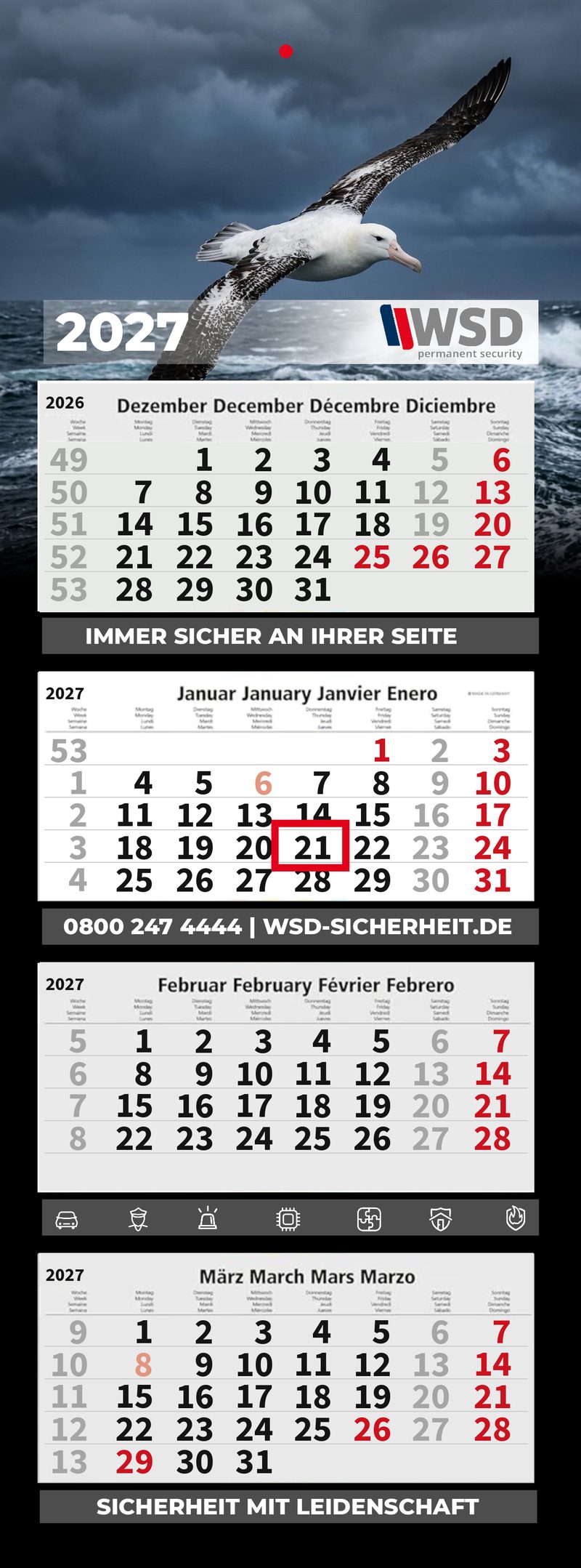 Motiv 15: Albatros im Sturm
