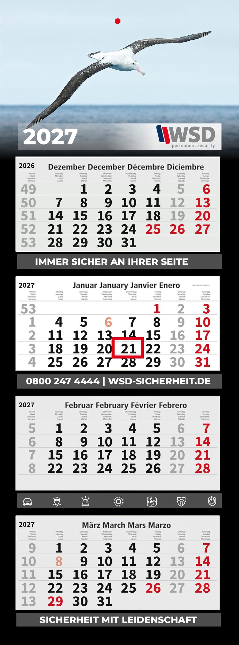 Motiv 16: Albatros über dem Meer
