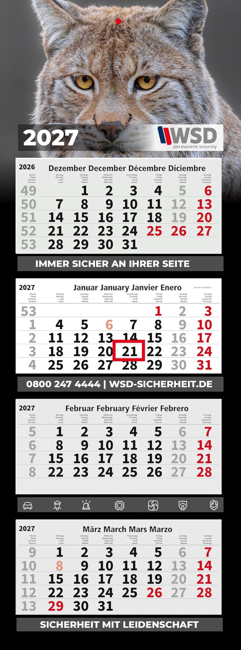 Motiv 24: Luchs